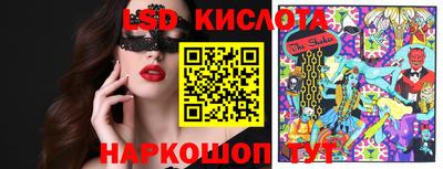 крисы Гагарин