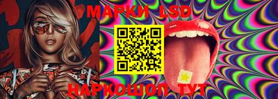 mdma Гатчина