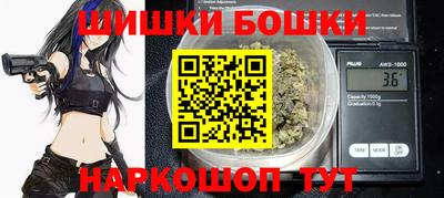 крисы Гагарин