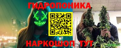 ГАЛЛЮЦИНОГЕННЫЕ ГРИБЫ Гай