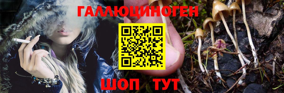 Псилоцибиновые грибы MAGIC MUSHROOMS  Псилоцибиновые грибы Psilocybe  Вход с VPN  Лабытнанги 